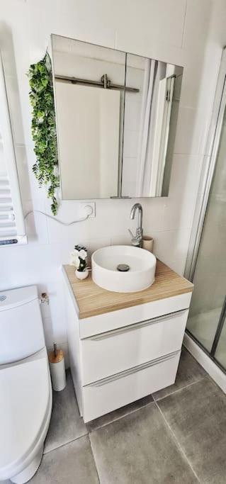 Appartement New #Boheme Chic# Pied De La Cité #2 à Carcassonne Extérieur photo